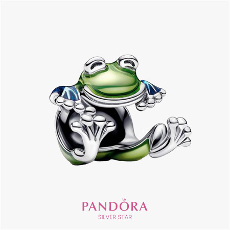 frog-charm چارم قورباغه - تصویر 1